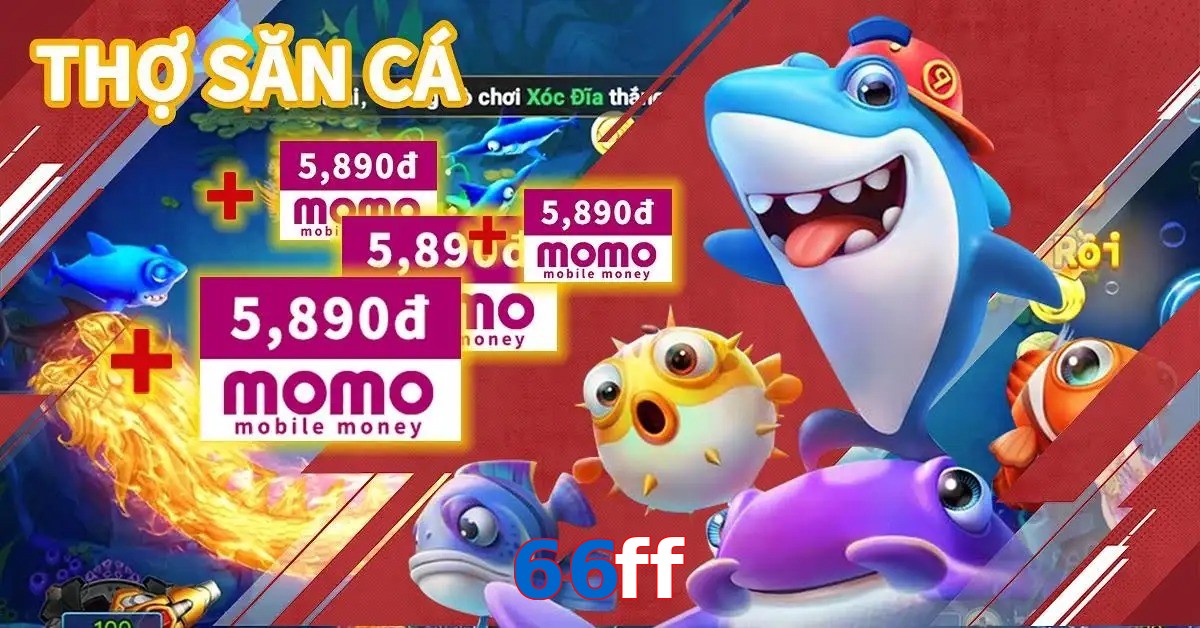 66ff